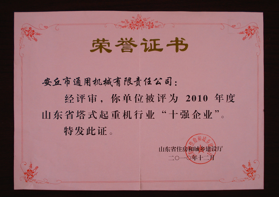 十強(qiáng)企業(yè)